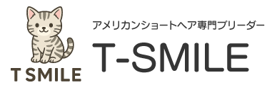 T-スマイル｜アメリカンショートヘア専門の猫ブリーダー